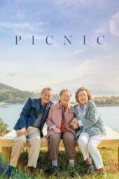 Picnic (2024)